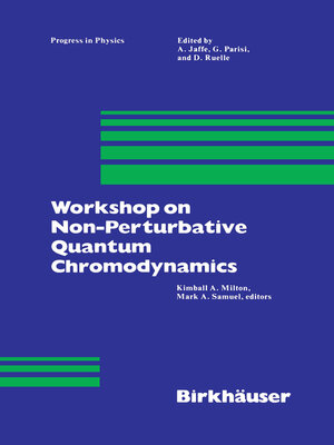 cover image of Workshop on Non-Perturbative Quantum Chromodynamics